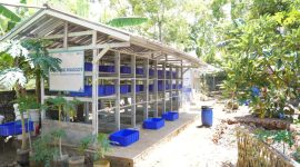 Program maggot BSF ini sejalan dengan Perda Nomor 14 Tahun 2020 Kabupaten Gunungkidul dan diharapkan menjadi contoh nyata bagaimana sampah bisa bernilai ekonomi.