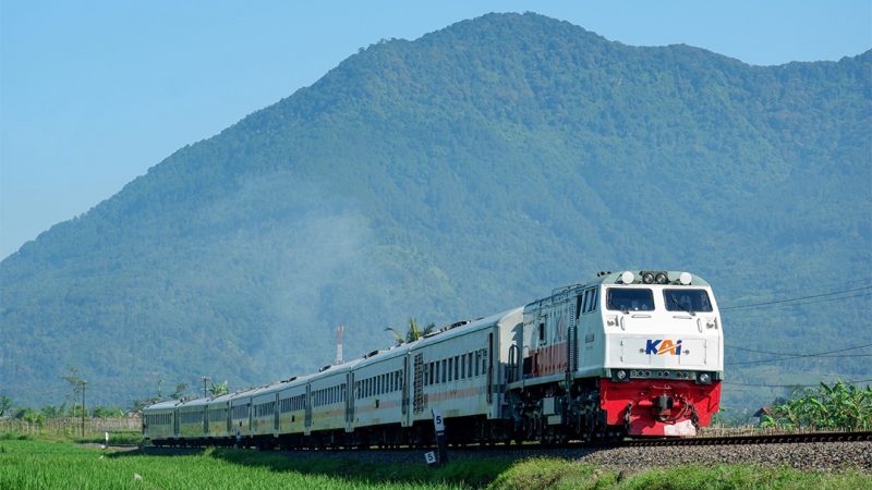 ilustrasi / foto ist