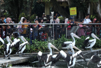 ilustrasi / foto ist