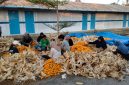 PLN Nusantara Power UP Tanjung Awar-awar memanfaatkan limbah pertanian jagung sebagai bahan campuran batu bara (co-firing) pada PLTU berkapasitas terpasang  2 X 350 MW di Desa Wadung, Kecamatan Jenu, Tuban.