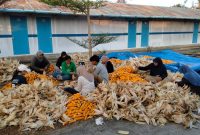 PLN Nusantara Power UP Tanjung Awar-awar memanfaatkan limbah pertanian jagung sebagai bahan campuran batu bara (co-firing) pada PLTU berkapasitas terpasang  2 X 350 MW di Desa Wadung, Kecamatan Jenu, Tuban.