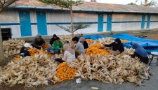 PLN Nusantara Power UP Tanjung Awar-awar memanfaatkan limbah pertanian jagung sebagai bahan campuran batu bara (co-firing) pada PLTU berkapasitas terpasang  2 X 350 MW di Desa Wadung, Kecamatan Jenu, Tuban.