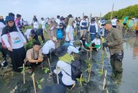 Para relawan saat menanam bibit mangrove di Pantai Tirang, Semarang (9/10). Dalam kegiatan yang merupakan kolaborasi antara PLN dan Kementerian Koordinator Bidang Pangan ini, total sebanyak 72.400 batang mangrove ditanam di lahan seluas 20,2 hektare di 2 lokasi, yakni Pantai Tirang, Semarang dan Desa Betahwalang, Kabupaten Demak.