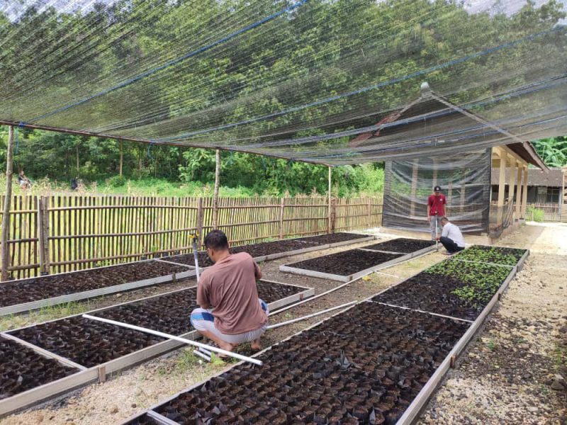 Sistem penyiraman dan pemeliharaan tanaman di Rumah Bibit Gombang kini diotomatisasi dan didigitalisasi menggunakan energi listrik sebagai sumber utama. Penerapan teknologi Internet of Things (IoT) memungkinkan pemantauan kondisi tanaman secara real-time, termasuk suhu, kelembapan, dan kebutuhan air, sehingga proses pembibitan menjadi lebih presisi, efisien, dan ramah lingkungan.