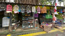 ilustrasi / foto ist