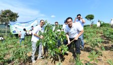 Keterangan Foto 1: BOGOR - Wakil Menteri Lingkungan Hidup Diaz Hendropriyono dan Direktur Transformasi dan Keberlanjutan Bisnis Pertamina Agung Wicaksono melakukan Penanaman Pohon dalam rangka Mengurangi Jejak Karbon, Sabtu (1/11) di Bogor.