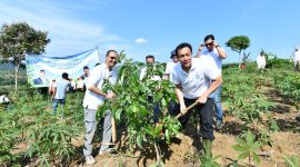 Keterangan Foto 1: BOGOR - Wakil Menteri Lingkungan Hidup Diaz Hendropriyono dan Direktur Transformasi dan Keberlanjutan Bisnis Pertamina Agung Wicaksono melakukan Penanaman Pohon dalam rangka Mengurangi Jejak Karbon, Sabtu (1/11) di Bogor.
