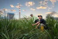 Program SIPANDU DESI PLN NP melibatkan 122 penerima manfaat langsung — meliputi petani, peternak, lansia, dan warga prasejahtera yang telah merasakan dampak ekonomi dan sosial program ini. Melalui pelatihan agrikultur terpadu, penerapan teknologi energi bersih, dan sistem ekonomi sirkular, masyarakat setempat kini memiliki kapasitas baru dalam pengelolaan sumber daya pertanian yang efisien dan ramah lingkungan.