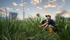 Program SIPANDU DESI PLN NP melibatkan 122 penerima manfaat langsung — meliputi petani, peternak, lansia, dan warga prasejahtera yang telah merasakan dampak ekonomi dan sosial program ini. Melalui pelatihan agrikultur terpadu, penerapan teknologi energi bersih, dan sistem ekonomi sirkular, masyarakat setempat kini memiliki kapasitas baru dalam pengelolaan sumber daya pertanian yang efisien dan ramah lingkungan.