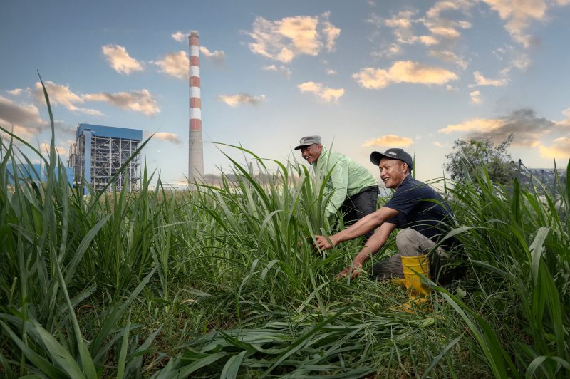 Program SIPANDU DESI PLN NP melibatkan 122 penerima manfaat langsung — meliputi petani, peternak, lansia, dan warga prasejahtera yang telah merasakan dampak ekonomi dan sosial program ini. Melalui pelatihan agrikultur terpadu, penerapan teknologi energi bersih, dan sistem ekonomi sirkular, masyarakat setempat kini memiliki kapasitas baru dalam pengelolaan sumber daya pertanian yang efisien dan ramah lingkungan.