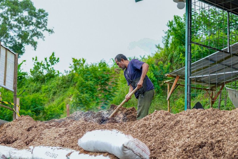 Pengembangan Bioenergi termasuk program cofiring biomassa di PLTU membuka peluang ekonomi baru bagi masyarakat daerah salah satunya adalah BUMDes Semar Keleng di Desa Keleng, Kecamatan Kesugihan, Adipala Cilacap yang memiliki fasilitas produksi biomassa kepingan kayu berkapasitas 4 ton per hari dan mempekerjakan 20 pekerja.
