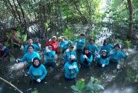 PLN Energi Primer Indonesia melaksanakan Penanaman 1.000 Mangrove di Kawasan Pantai Indah Kapuk, Jakarta Utara, sebagai bagian dari komitmen perusahaan terhadap keberlanjutan lingkungan dan peringatan Hari Menanam Pohon Indonesia. Kegiatan ini mendukung prinsip ESG serta program Pemprov DKI Jakarta dalam mengurangi risiko banjir dan menjaga kelestarian hutan lindung pesisir.