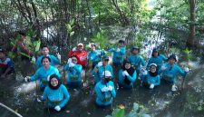 PLN Energi Primer Indonesia melaksanakan Penanaman 1.000 Mangrove di Kawasan Pantai Indah Kapuk, Jakarta Utara, sebagai bagian dari komitmen perusahaan terhadap keberlanjutan lingkungan dan peringatan Hari Menanam Pohon Indonesia. Kegiatan ini mendukung prinsip ESG serta program Pemprov DKI Jakarta dalam mengurangi risiko banjir dan menjaga kelestarian hutan lindung pesisir.