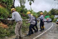 Petugas PLN bahu membahu untuk memulihkan jaringan listrik yang roboh akibat tanah longsor di Kecamatan Lembah Gumanti Kabupaten Solok, Sumatra Barat.