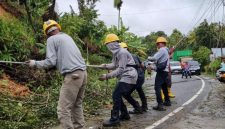 Petugas PLN bahu membahu untuk memulihkan jaringan listrik yang roboh akibat tanah longsor di Kecamatan Lembah Gumanti Kabupaten Solok, Sumatra Barat.