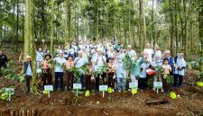PLN Nusantara Power bekerja sama dengan Yayasan Hutan Organik melaksanakan penanaman pohon sebanyak 3.000 pohon di Hutan Organik Megamendung, Bogor. Agenda ini bertujuan untuk merehabilitasi lahan kritis melalui program reforestasi berkelanjutan, yang berkontribusi pada pemulihan ekosistem. PLN Nusantara Power telah menanam 12.000 pohon di atas area 5 hektar tersebut sejak tahun 2020.