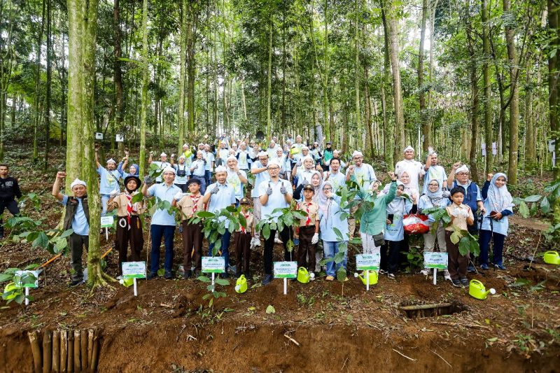 PLN Nusantara Power bekerja sama dengan Yayasan Hutan Organik melaksanakan penanaman pohon sebanyak 3.000 pohon di Hutan Organik Megamendung, Bogor. Agenda ini bertujuan untuk merehabilitasi lahan kritis melalui program reforestasi berkelanjutan, yang berkontribusi pada pemulihan ekosistem. PLN Nusantara Power telah menanam 12.000 pohon di atas area 5 hektar tersebut sejak tahun 2020.