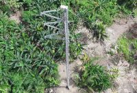 Tampak udara emergency tower untuk jalur kedua transmisi Arun-Bireuen yang berhasil beroperasi pada Rabu (24/12). Jalur ini melengkapi jaringan transmisi utama Arun–Bireuen dan Langsa–Pangkalan Brandan, sehingga pasokan listrik ke wilayah Aceh dapat lebih optimal.