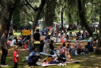 ilustrasi / foto istimewa