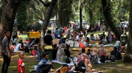 ilustrasi / foto istimewa