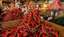 ilustrasi / foto ist