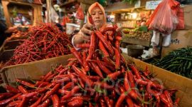 ilustrasi / foto ist