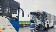 ilustrasi / foto ist