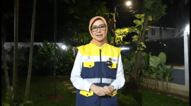 Ketua Satuan Tugas Posko Nasional Sektor ESDM Erika Retnowati / foto dok. ESDM