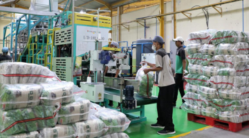 Antisipasi El Nino, DPRD Minta BUMD Pangan Jadi Penjaga Stabilitas Harga