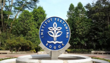 ilustrasi / foto ist