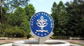 ilustrasi / foto ist