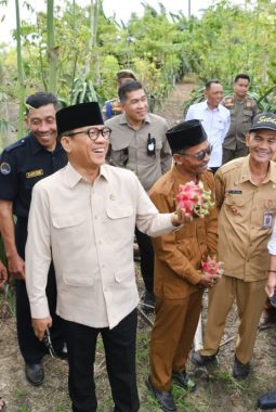 berita-rekomendasi-foto