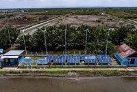 Pertamina melalui program Desa Energi Berdikari (DEB) terus mendorong kemandirian energi. Di Uma Palak Lestari, Subak Lauh Batu, Desa Keliki, Kabupaten Gianyar, pemanfaatan energi terbarukan seperti panel surya dan turbin angin mendukung aktivitas pertanian sekaligus meningkatkan produktivitas masyarakat secara berkelanjutan.