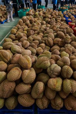 berita-rekomendasi-foto