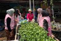 Any Setyaningsih, anggota Kelompok Wanita Tani (KWT) Kampung Tangguh Jaya (KTJ), bersama Srikandi PLN Unit Induk Transmisi Jawa Bagian Barat (UIT JBB) memanen sayuran hasil kebun hidroponik di Kampung Tangguh RW 09, Cakung, Jakarta Timur pada Rabu (15/4).