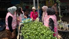 Any Setyaningsih, anggota Kelompok Wanita Tani (KWT) Kampung Tangguh Jaya (KTJ), bersama Srikandi PLN Unit Induk Transmisi Jawa Bagian Barat (UIT JBB) memanen sayuran hasil kebun hidroponik di Kampung Tangguh RW 09, Cakung, Jakarta Timur pada Rabu (15/4).