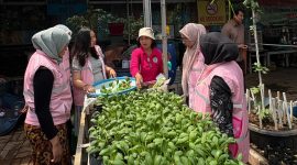 Any Setyaningsih, anggota Kelompok Wanita Tani (KWT) Kampung Tangguh Jaya (KTJ), bersama Srikandi PLN Unit Induk Transmisi Jawa Bagian Barat (UIT JBB) memanen sayuran hasil kebun hidroponik di Kampung Tangguh RW 09, Cakung, Jakarta Timur pada Rabu (15/4).