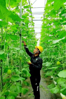 berita-rekomendasi-foto