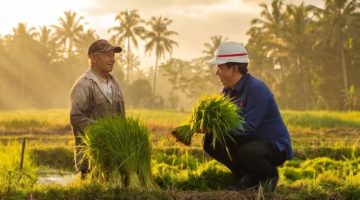 4 Tahun Kering, Hutama Karya Alirkan Air ke Irigasi Beo Talaud