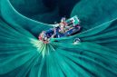  “Silk of the Sea” karya Cao Thi Ngoc Diem, finalis The Pano Awards Southeast Asia Open Photographer of the Year 2025, yang mengabadikan proses pencucian kain sutra di Phu Yen Vietnam.
