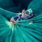  “Silk of the Sea” karya Cao Thi Ngoc Diem, finalis The Pano Awards Southeast Asia Open Photographer of the Year 2025, yang mengabadikan proses pencucian kain sutra di Phu Yen Vietnam.