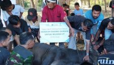Yayasan Baitul Maal (YBM) PT PLN Energi Primer Indonesia (PLN EPI) menyalurkan bantuan Qurban di Desa Watohari, Pulau Solor, Flores Timur sebagai bagian dari komitmen perusahaan dalam menghadirkan dampak sosial yang inklusif dan berkelanjutan.