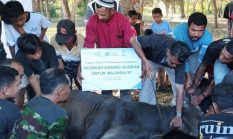 berita-pilihan-foto