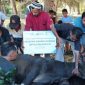 Yayasan Baitul Maal (YBM) PT PLN Energi Primer Indonesia (PLN EPI) menyalurkan  bantuan Qurban di Desa Watohari, Pulau Solor, Flores Timur sebagai bagian dari komitmen perusahaan dalam menghadirkan dampak sosial yang inklusif dan berkelanjutan.