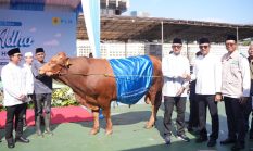 berita-pilihan-foto