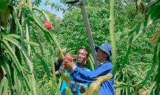 berita-pilihan-foto
