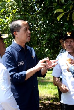 berita-rekomendasi-foto