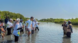 Aksi penanaman mangrove dilakukan melalui kolaborasi dengan CarbonEthics sebagai mitra lingkungan yang akan mendukung proses penanaman, pemeliharaan, hingga pemantauan pertumbuhan mangrove secara berkelanjutan guna memastikan manfaat lingkungan yang optimal dalam jangka panjang.