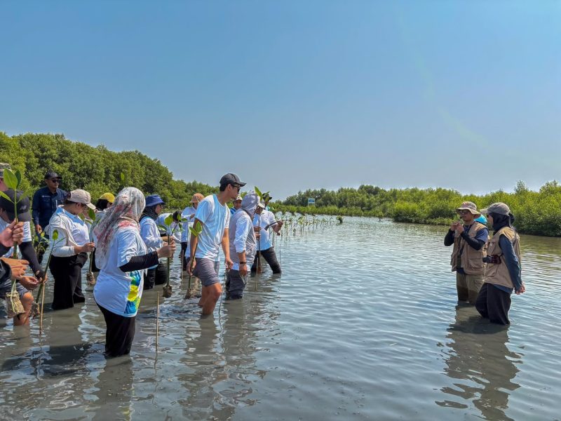 Aksi penanaman mangrove dilakukan melalui kolaborasi dengan CarbonEthics sebagai mitra lingkungan yang akan mendukung proses penanaman, pemeliharaan, hingga pemantauan pertumbuhan mangrove secara berkelanjutan guna memastikan manfaat lingkungan yang optimal dalam jangka panjang.