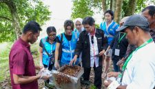 PT PLN Energi Primer Indonesia (PLN EPI) Bersama anak usahanya PT PLN Energi Gas mendorong pengembangan ekonomi hijau berbasis masyarakat melalui program Tanggung Jawab Sosial dan Lingkungan (TJSL) berupa pengembangan dan pendampingan budidaya madu kelulut (stingless bee) di Desa Tanjung Batu, Kecamatan Tenggarong Seberang, Kabupaten Kutai Kartanegara, Kalimantan Timur.